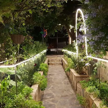 Luex Villa