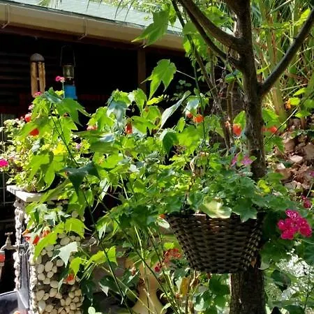 Luex Villa جزر الأمراء