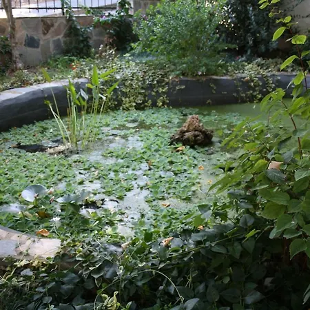 فيلة Luex Villa جزر الأمراء