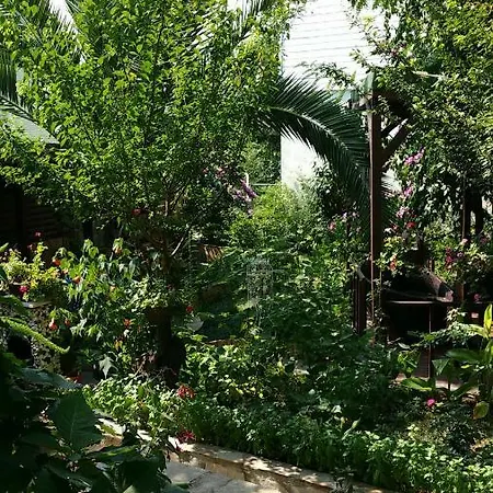 Luex Villa جزر الأمراء