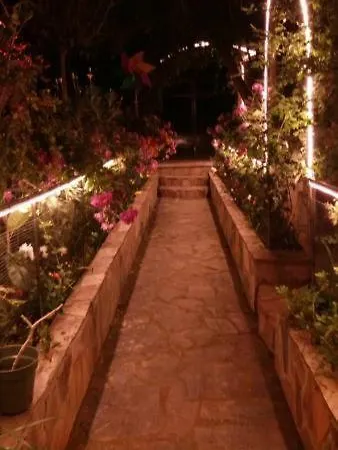Luex Villa فيلة *