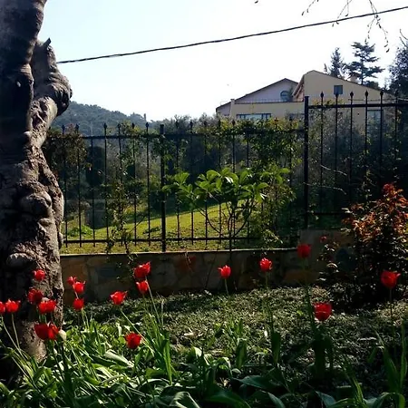 Luex Villa فيلة *