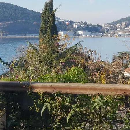 Luex Villa فيلة *